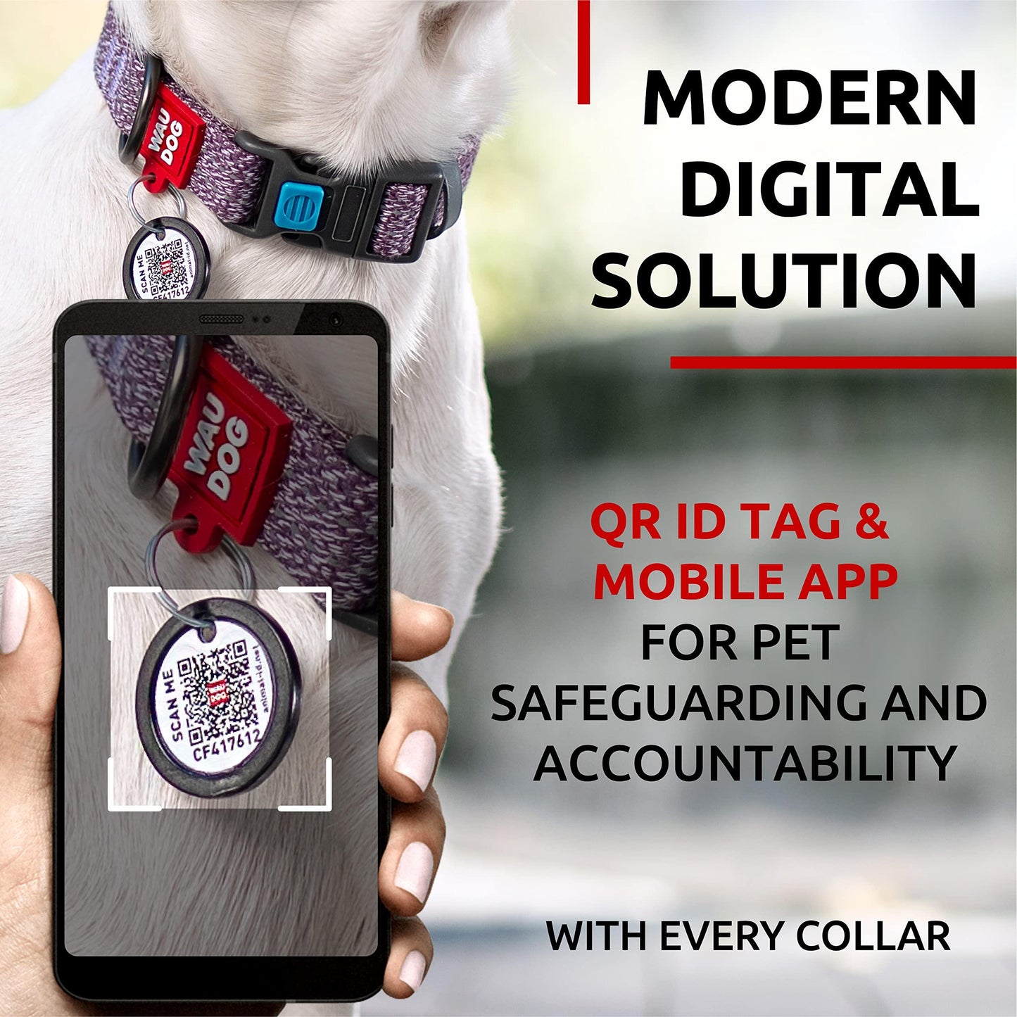 Eco Friendly Reflective Cotton Dog Collar  Alt to Nylon