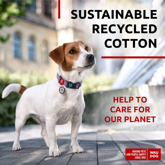 Eco Friendly Reflective Cotton Dog Collar  Alt to Nylon